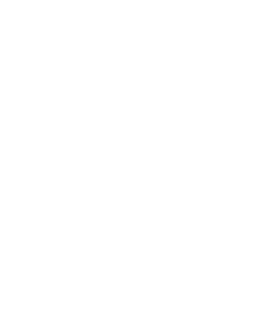 Skeletons Dancing Day Of Dead Dia De Los Muertos Halloween Party Skeleton Women's Long Sleeve Shirt