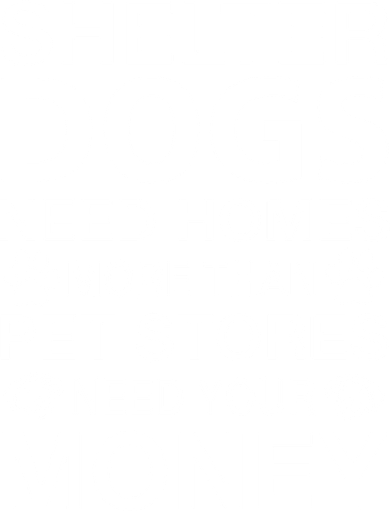Shelter Dogs Need Homes Santa Hat
