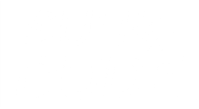 Suh Dude Women's Hoodie