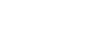 Snowboard Evolution Coaster