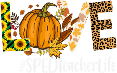 Special Education Teacher Love Fall Leopard Halloween Autumn Gift Kids Hoodie
