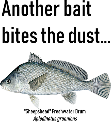 Sheepshead Freshwater Drum Kids T-Shirt