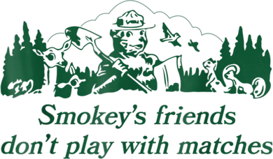Smokey's Friends Don't Play With Matches Funny Saying Kids T-Shirt