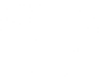 Sebastian Florida Fl Vintage Sports Kids Long Sleeve Shirt