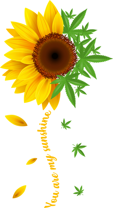 You Are My Sunshine Weed Sunflower Marijuana  Baby Bodysuit