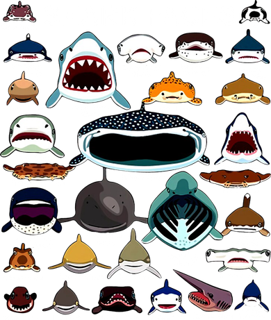 Shark Faces Of All Kinds Toddler Hoodie