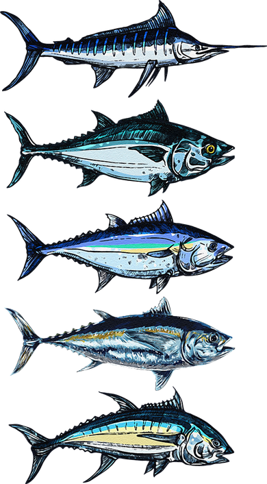 Saltwater Fish Species Swordfish Fishing Camping Hunting Baby Bodysuit