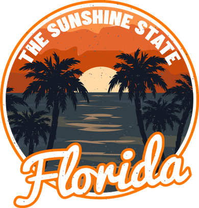 Surfing Florida Sunshine State Sunset Beach Gift Women's Long Sleeve Shirt