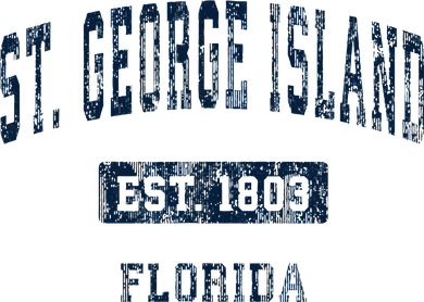 St. George Island Florida Fl Vintage Sports Established Hoodie
