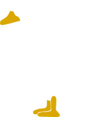 Silly Goose Baby Bodysuit