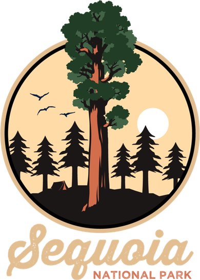 Sequoia General Sher Tree Camping Sequoia National Park Cute Gift Women's T-Shirt