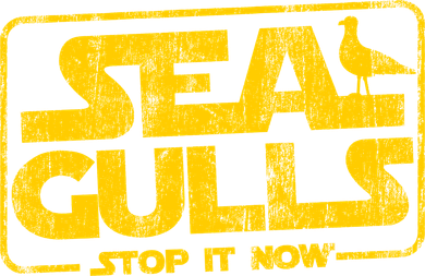 Seagulls Stop it Now Women's Hoodie