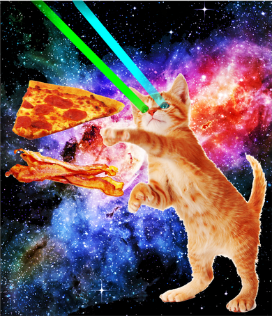 Space Hunger Flying Cat Pizza Bacon1 Beanie
