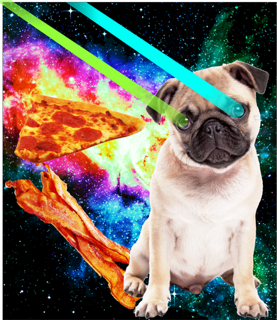 Space Hunger Pug Laser Pizza Bacon Kids Sweatshirt