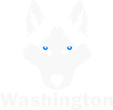Siberian Huskies State Of Washington Husky Face Coaster