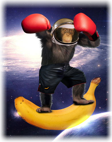 Astronaut Monkey Boxing In Space Ceramic Ornament