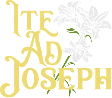 St Joseph Consecration Ite Ad Joseph Latin Catholic Saints Kids T-Shirt