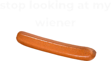 Stop Looking At My Wiener Sausage Coaster