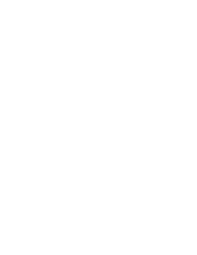 Salt Light Christian Shirt, Christian Gift, Matthew 513 Women's Tank Top