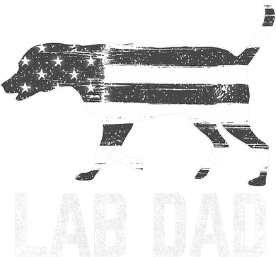 Silver Lab Dad Vintage Patriotic Labrador With American Flag Women's V-Neck T-Shirt