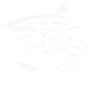 Sharks Lover Marine Biology Science Shark Women's T-Shirt