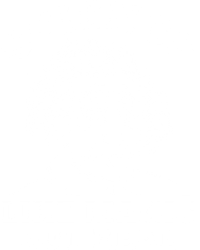 Science Like Magic But Real Einstein Hat