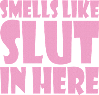 Smells Like Slut In Here Funny Sexy Offensive Adult Humor Kids Hoodie
