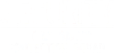 SECURITY Little Sister Protection Squad Funny Big Brother Toddler T-Shirt