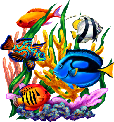 Tropical Fish Women's T-Shirt