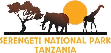 Serengeti National Park Tanzania Women's T-Shirt