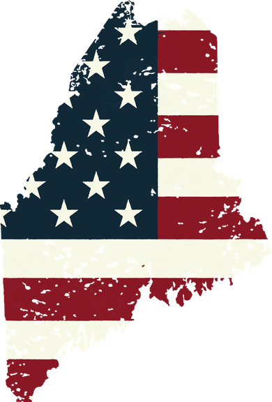 State Of Maine Usa Flag Patriotic For Women Adults Women's Long Sleeve Shirt