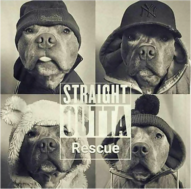 Straight Outta Rescue Pitbull Kids T-Shirt