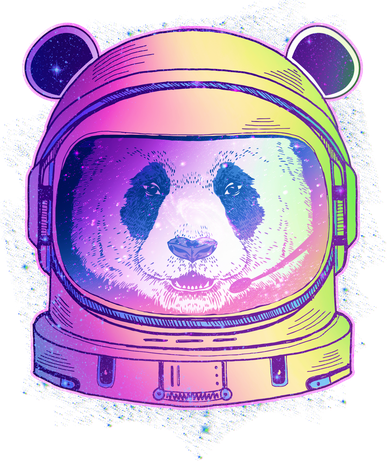 Space Astro Panda Women's Sweatshirt
