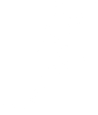 Soccer Player Boys Kids Youth Men TShirt Doggie Tank