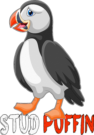 Stud Puffin Cute Puffin Women's Tank Top