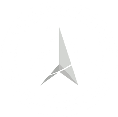 United States Space Force Outline Logo Button