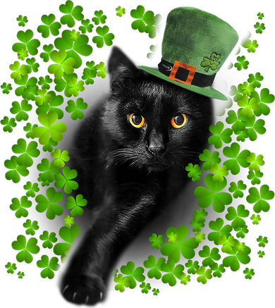 St Patrick Day Black Cat 3 Leaf Clover Kitten Lover Irish Hoodie