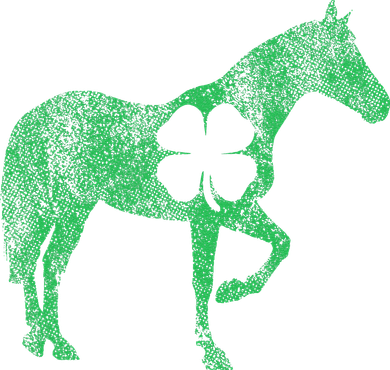 St Patrick's Day Shamrock Horse Irish Green Saint Paddy's Women's Long Sleeve Shirt