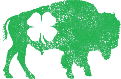 St. Patrick's Day Green Shamrock Buffalo Bison Irish Saint Toddler Sweatshirt