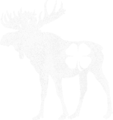 St. Patrick's Day Moose Irish Shamrock Saint Paddy's Kids Long Sleeve Shirt