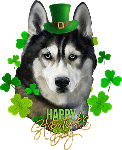 St Patrick's Day Irish Saint Patrick Shamrock Furious Husky Coaster
