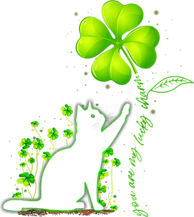 St Patricks Day Black Cat My Lucky Charm Shamrock Wo Girl Doggie Tank