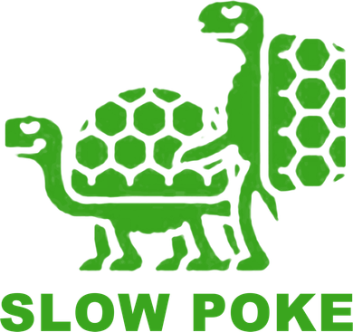 Slow Poke Funny Turtle Hat