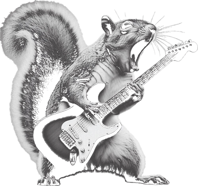 Squirrel Playing Guitar Rock And Roll Women's Hoodie