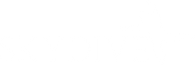 Skydive Parachuting Logo Doddie Hoodie