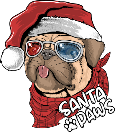 Santa Paws Pug Christmas Tee Kids Boys Xmas Funny Gift Pugmas Gift Kati Licensed 12" Camo Cuffed Beanie