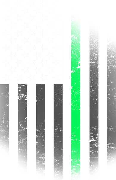 St. Patrick's Day Thin Green Line Flag Toddler Hoodie