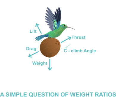 Simple Question Of Weight Ratios Toddler T-Shirt