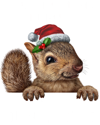 It's A Funny Squeaky Sound Christmas Squirrel Women's Long Sleeve Shirt