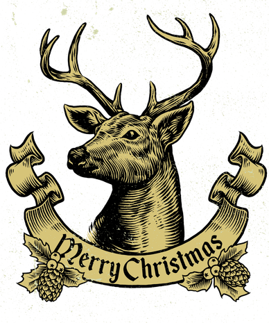 Merry Christmas Deer Women's Long Sleeve Shirt